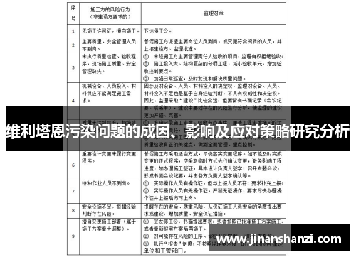 维利塔恩污染问题的成因、影响及应对策略研究分析